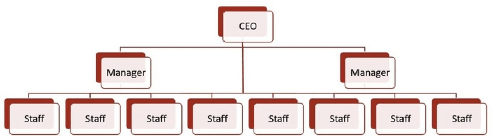 A flat organizational chart example
