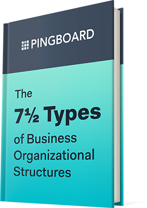 The 7½ Types of Business Organizational Structures